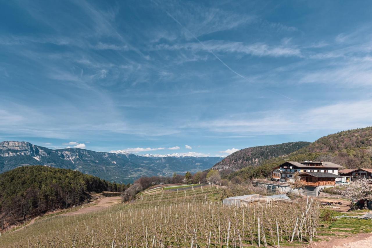 Апартаменты Malgorerhof Lavendel Сан-Дженезио-Атезино Экстерьер фото